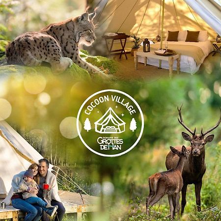 Cocoon Village - Glamping - Domaine Des Grottes De Han Rochefort Bagian luar foto