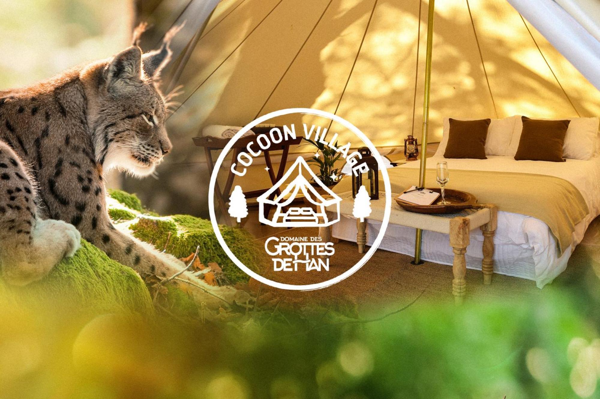 Cocoon Village - Glamping - Domaine Des Grottes De Han Rochefort Bagian luar foto