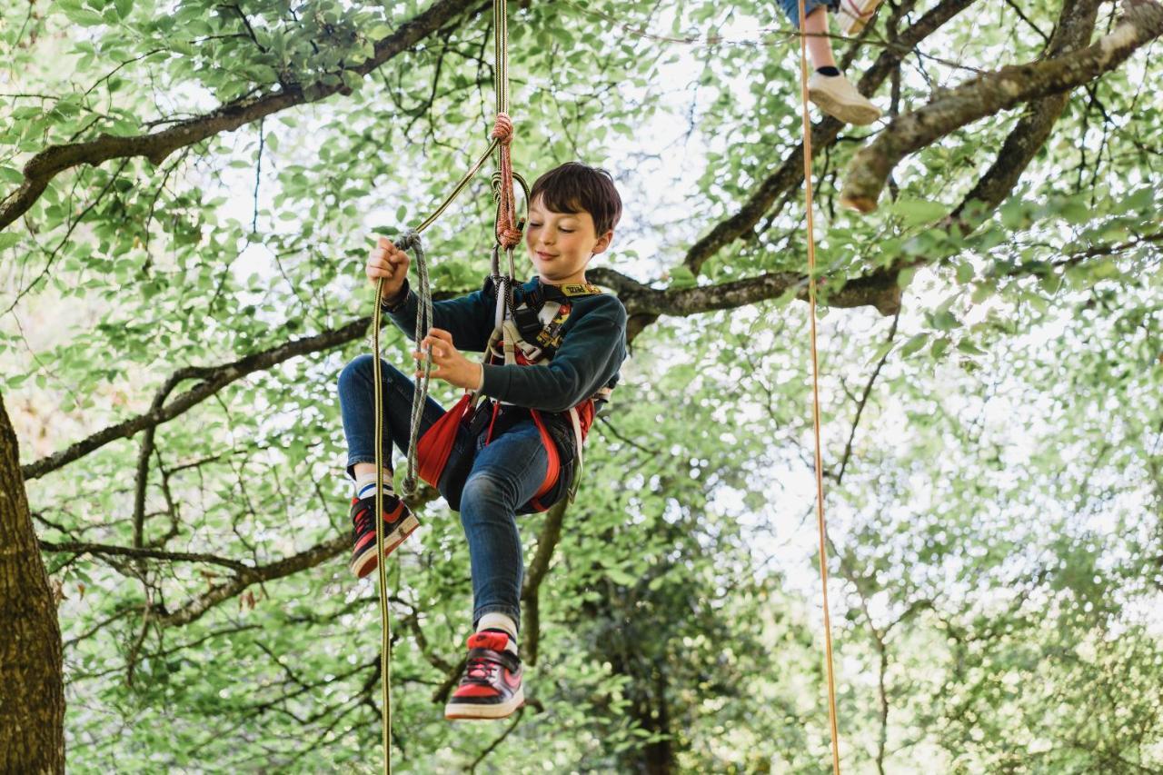 Cocoon Village - Glamping - Domaine Des Grottes De Han Rochefort Bagian luar foto