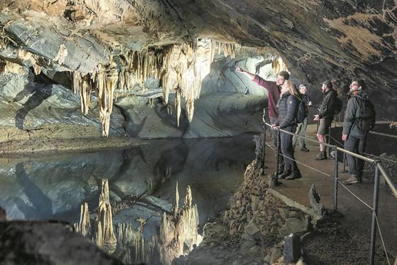 Cocoon Village - Glamping - Domaine Des Grottes De Han Rochefort Bagian luar foto
