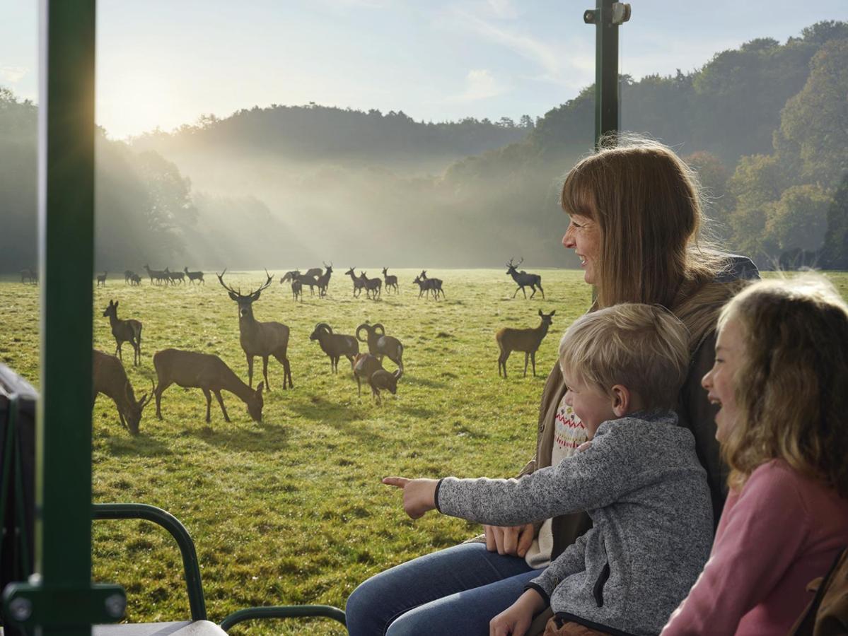 Cocoon Village - Glamping - Domaine Des Grottes De Han Rochefort Bagian luar foto