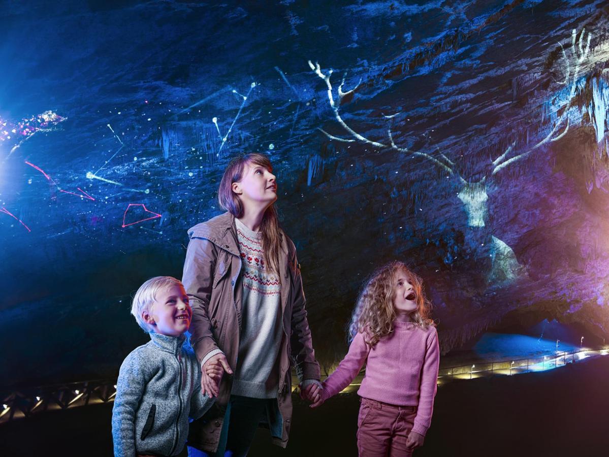 Cocoon Village - Glamping - Domaine Des Grottes De Han Rochefort Bagian luar foto